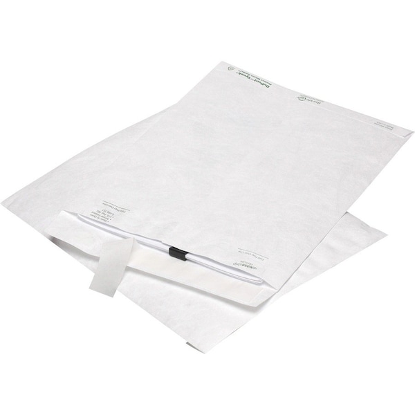 Envelope, Catalog, Pln, 10X13 Pk